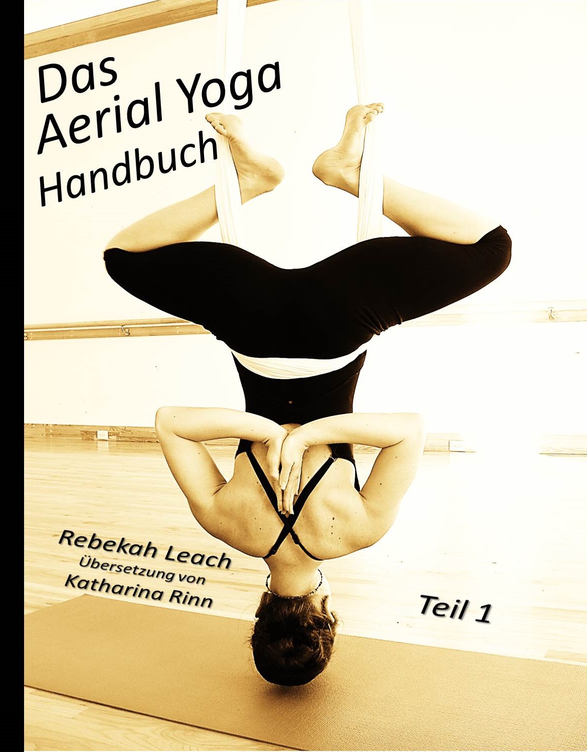 Das Aerial Yoga Handbuch Teil 1 is Here! www.aerialdancing photo photo pic