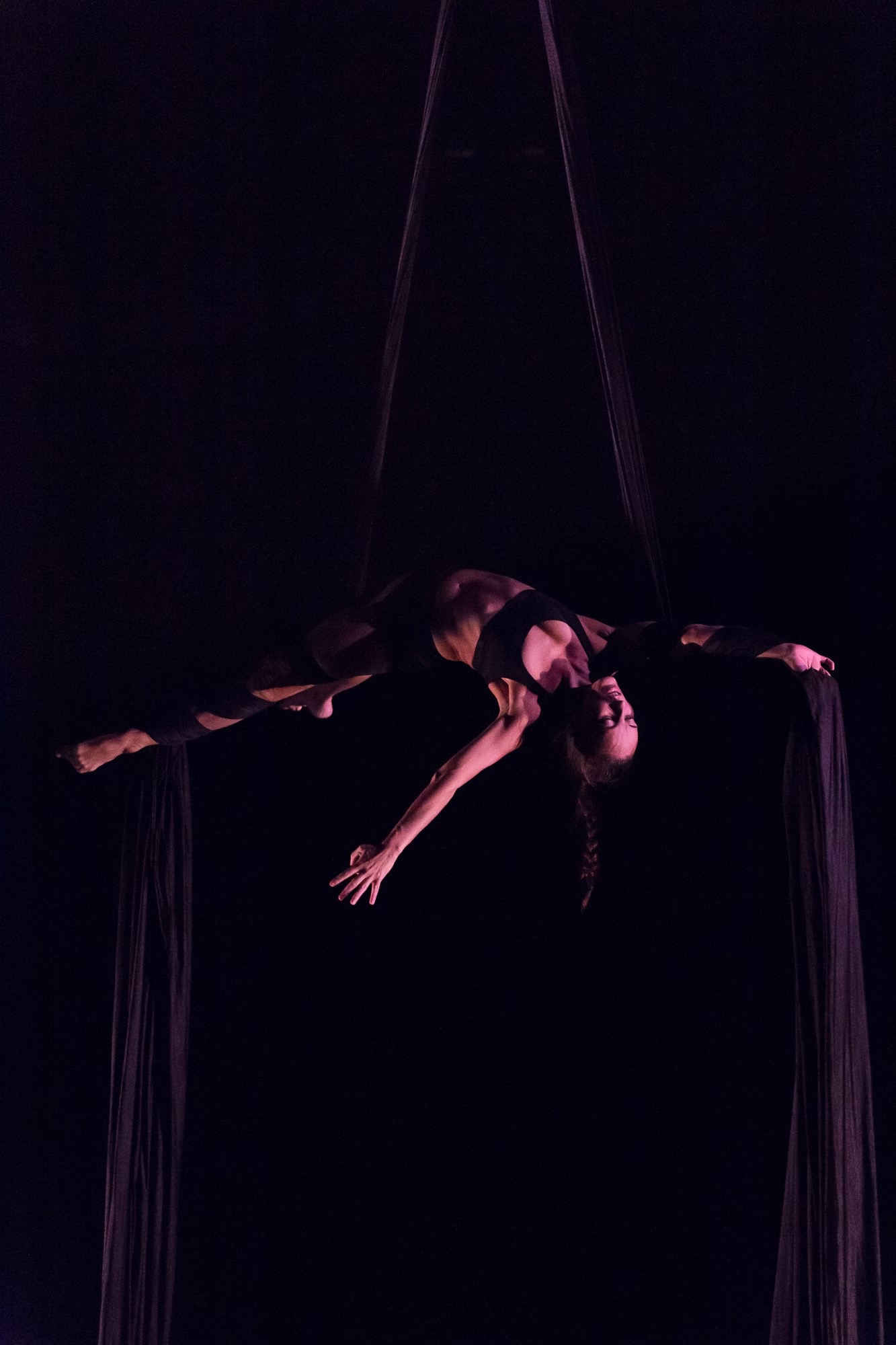 Aerial Silk Trapeze Porn - Aerial Dance Festival Wrap Up 2016 | www.aerialdancing.com