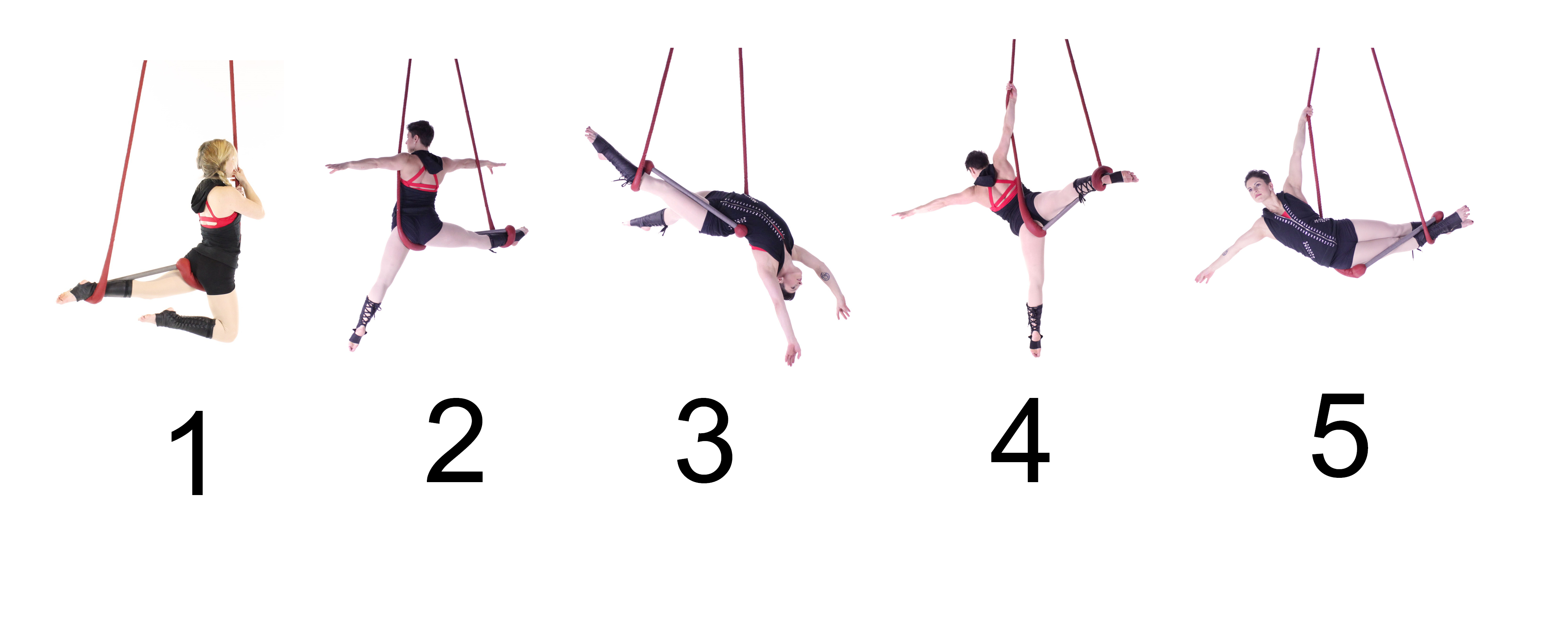Trapeze Contributions by Guest Artist McKinley Vitale www.aerialdancing billede